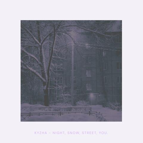 Night, Snow, Streets, You.