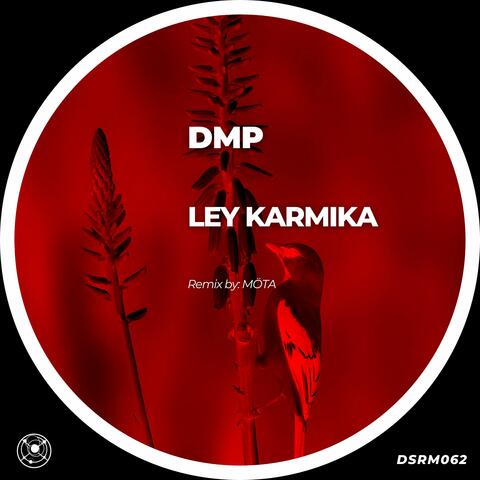 Ley Karmika