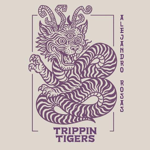 Labyrinth of Confusion