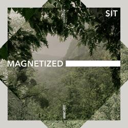 Magnetized