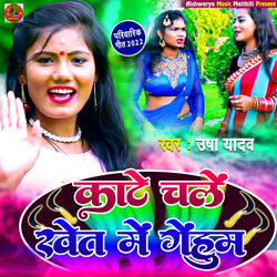 Kaate Chale Khet Me Gehum