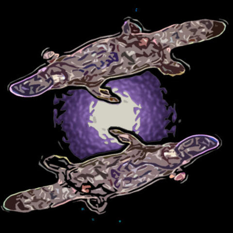 Schrodinger's Zombie Platypus