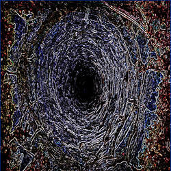 Hypnotic Void of the Nether In Nature