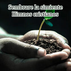 Has hallado en cristo