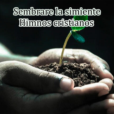 Sembrare la simiente