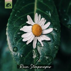 The Softness of Snow (Rain & Sleep)