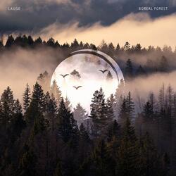 Boreal Forest
