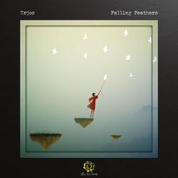 Falling Feathers