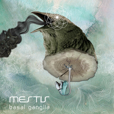Te Mato