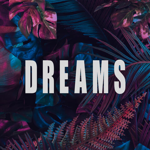 Dreams