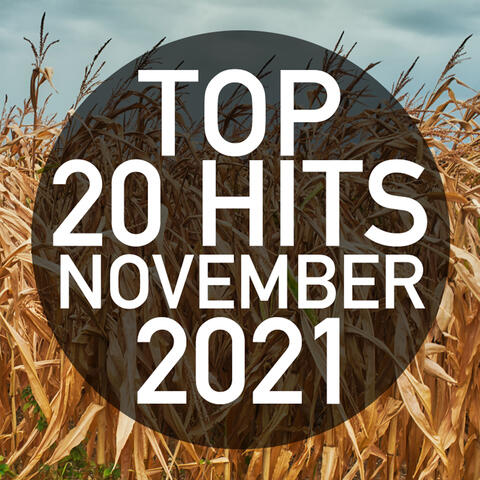 Top 20 Hits November 2021