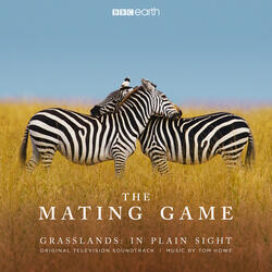 The Mating Game (Main Title)