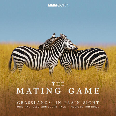The Mating Game - Grasslands: In Plain Sight (Original Television Soundtrack)