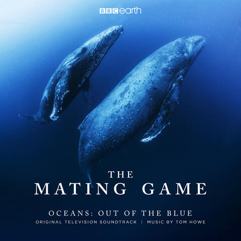 The Mating Game - Oceans: Out of the Blue (Original Television Soundtrack)