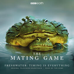 The Mating Game (Main Title)