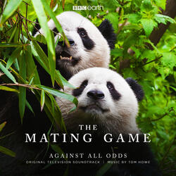 The Mating Game (Main Title)