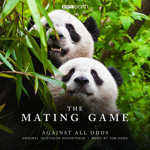 The Mating Game - Against All Odds (Original Television Soundtrack)