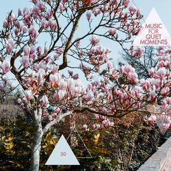 Music For Quiet Moments 50 - Time Present