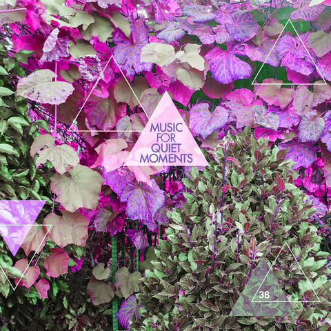 Music For Quiet Moments 38 - Elegy, Pt. I