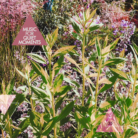 Music For Quiet Moments 35 - Drifting Gently