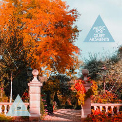 Music For Quiet Moments 29 - A Full Heart