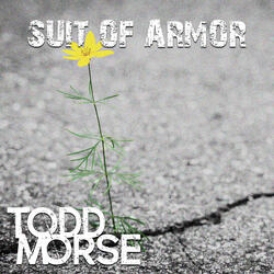 Suit Of Armor