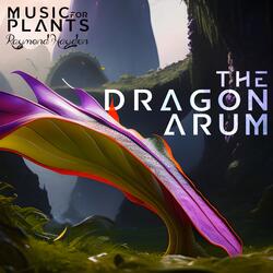 The Dragon Arum