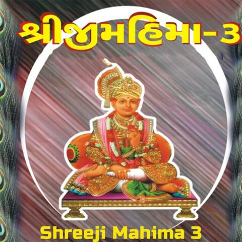 Shreeji Mahima 03