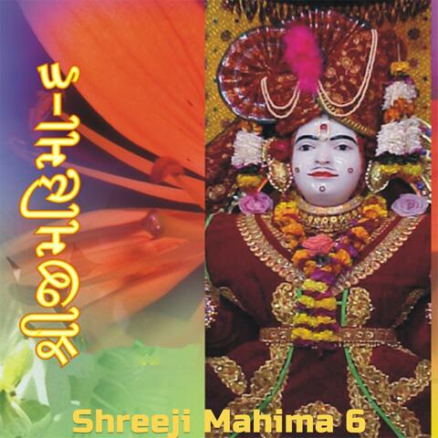 Shreeji Mahima 06