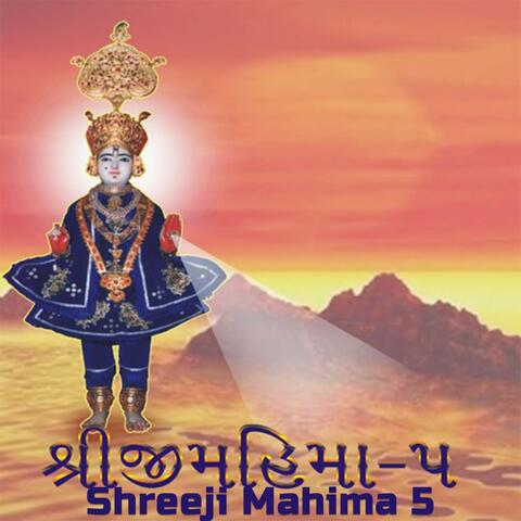 Shreeji Mahima 05