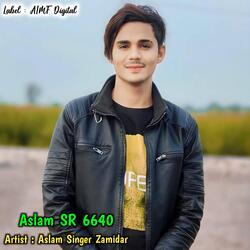 Aslam SR 6640