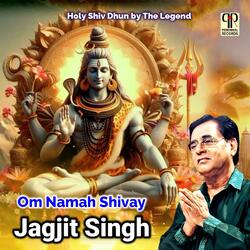 Om Namah Shivay
