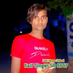 Kaif Singer SR 6917