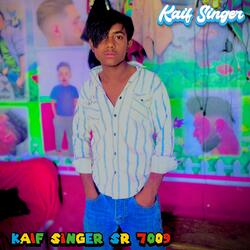 Kaif Singer SR 7009