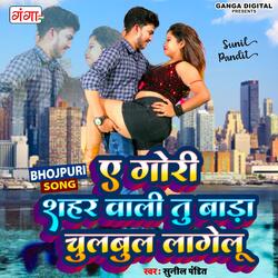 E Gori Sahar Wali Tu Bara Chul-Bul Lage Lu