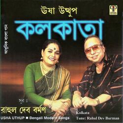 Kolkatate Bati Nei