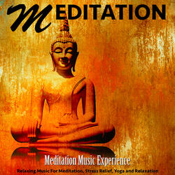 The Best Music for Meditation