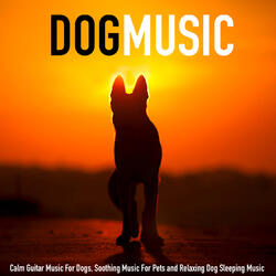 Dog Music and Sleeping Music