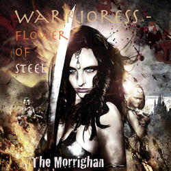 Flower of Steel - No Reply