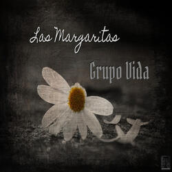 Las Margaritas
