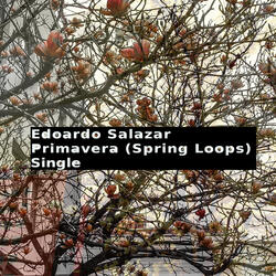 Primavera (Spring Loops)