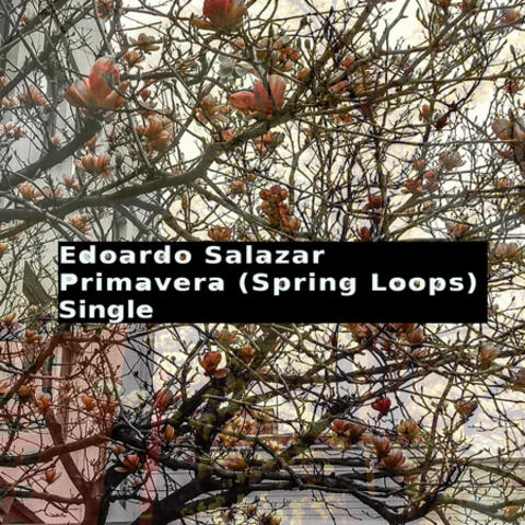 Primavera (Spring Loops)
