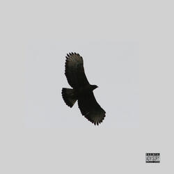 Blackbird (it is what it is)