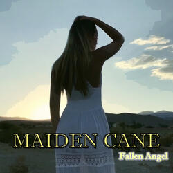 Fallen Angel