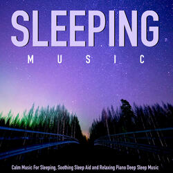 Music for Sleeping and Sounds of the Night