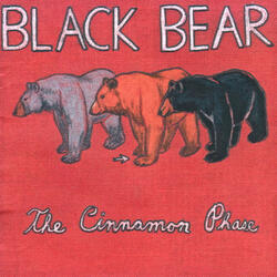 Black Bear