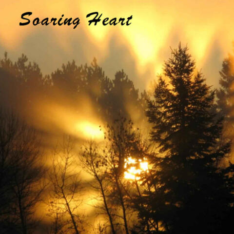 Soaring Heart