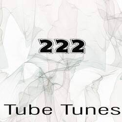 Vibrotion Touch