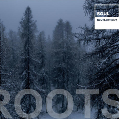 Roots