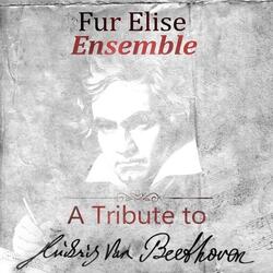 Für Elise